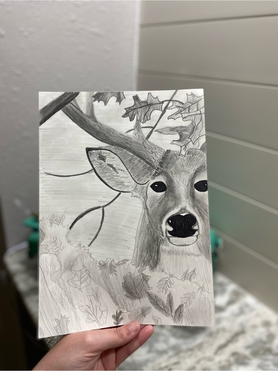 Hand Crafted Other - Hand Crafted Deer Illustration *WILL COME FRAMED!!*